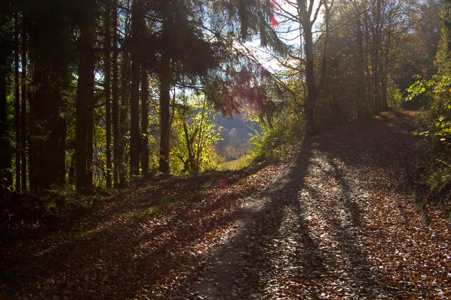 Bild Martin Helmecke